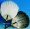 16 Inch Feather Fans