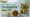 Chamomile Green Tea Box