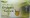 Organic Chinese Green Tea Small Box - 22 tea bags