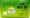 China Green Tea Large Box: 100 tea bags